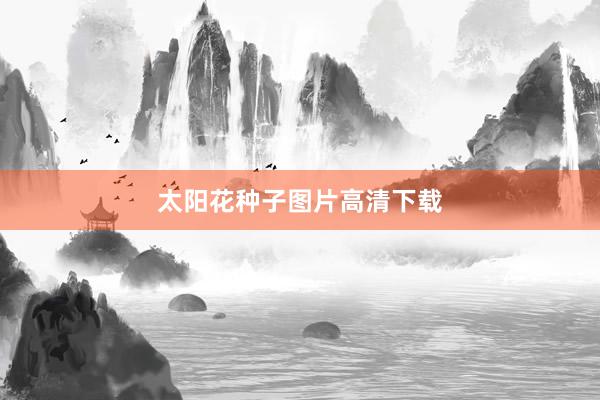 太阳花种子图片高清下载