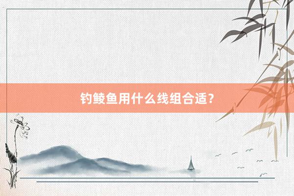 钓鲮鱼用什么线组合适？